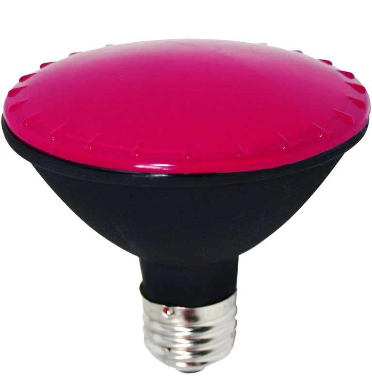 bulbstock52331