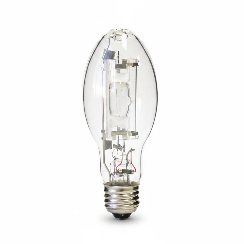 bulbstock52951