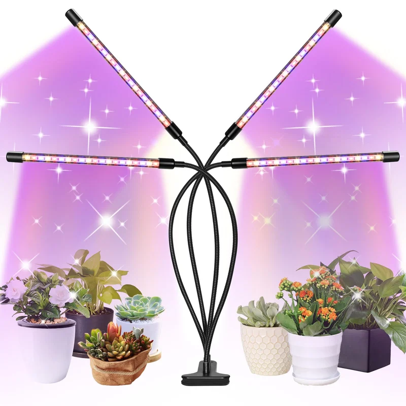 lightsdaddy101141