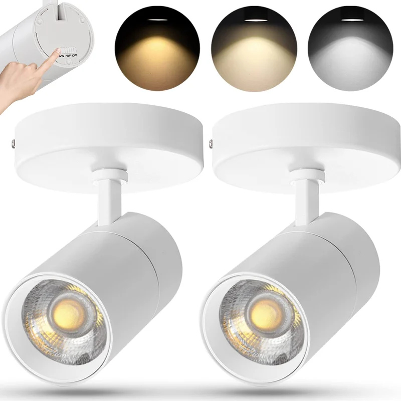 lightsdaddy108729