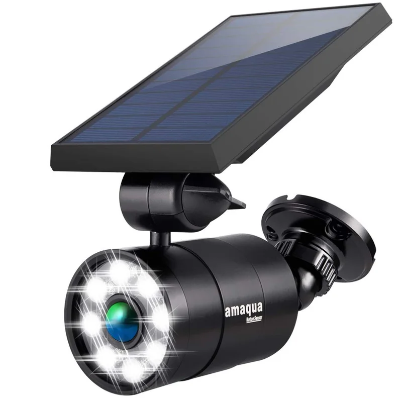 lightsdaddy113047
