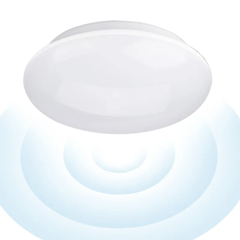 lightsdaddy117237