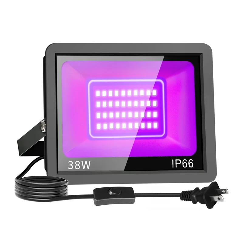 lightsdaddy124291