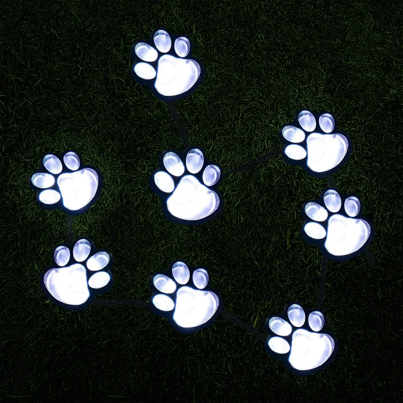 lightsdaddy126586