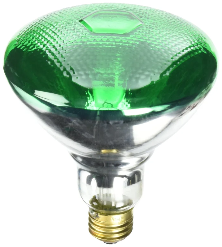 lightsdaddy126857