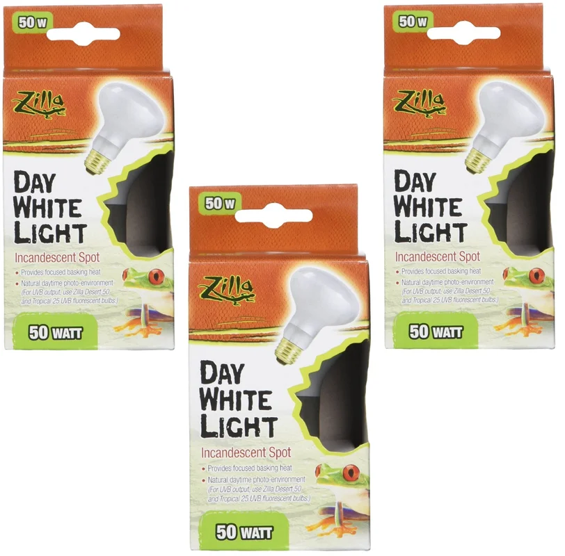 lightsdaddy127846