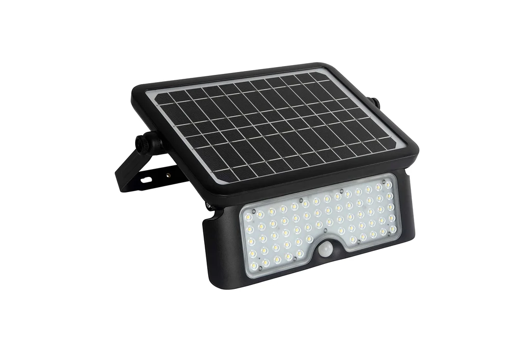 lightsdaddy157786