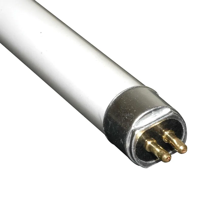 lightsdaddy179586