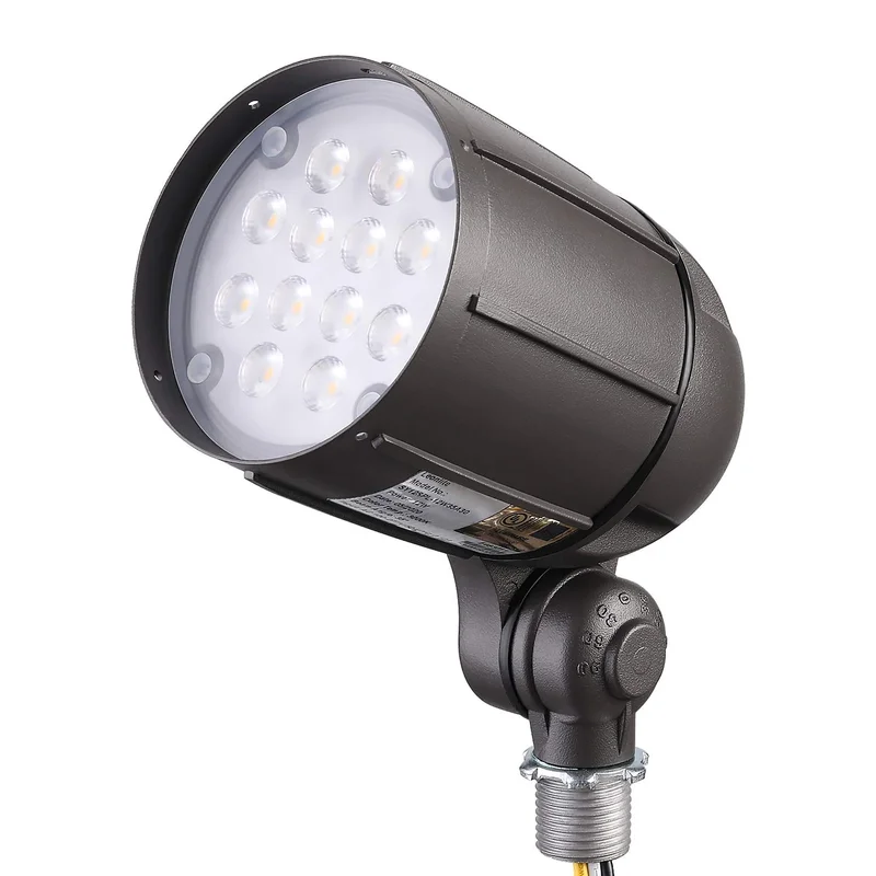 lightsdaddy187249