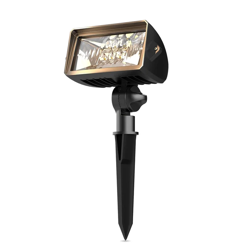 lightsdaddy187316
