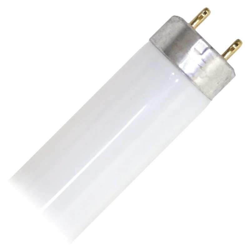 lightsdaddy189848