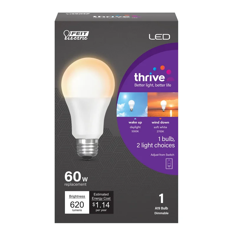 lightsdaddy195677