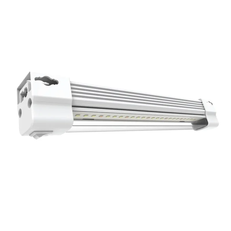 lightsdaddy195727