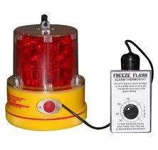 lightsdaddy200709