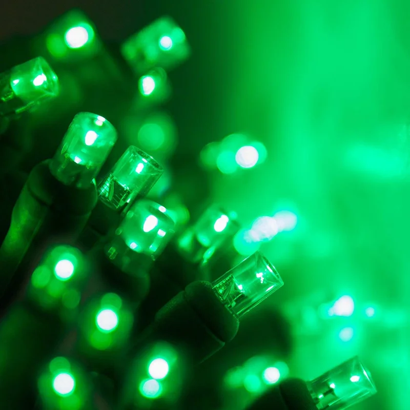 lightsdaddy223800
