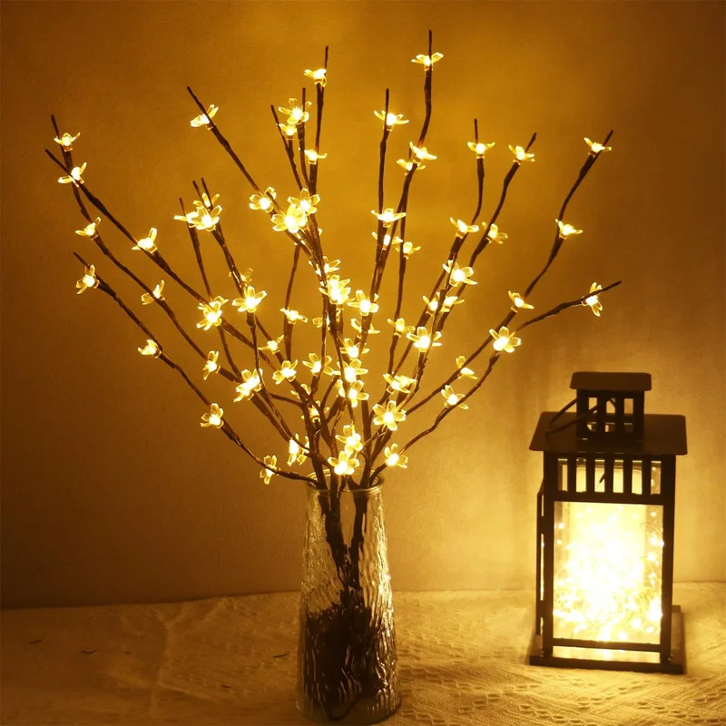 lightsdaddy224296