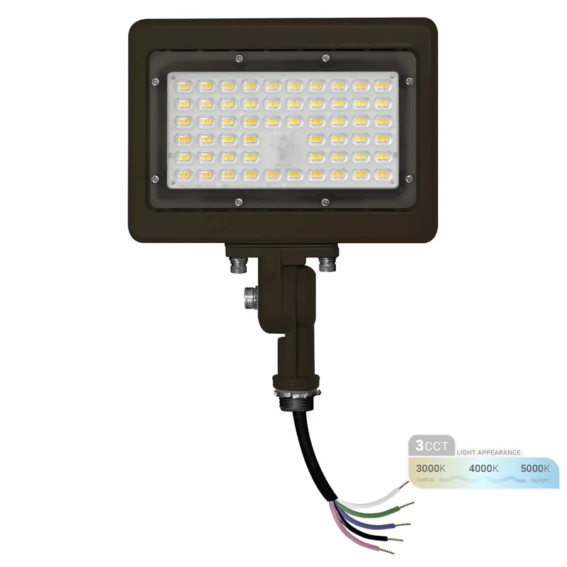 lightsdaddy236845