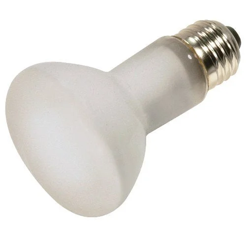 lightsdaddy239570