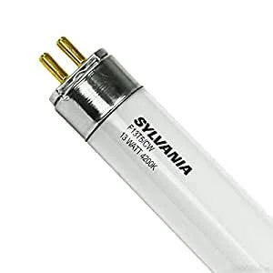 lightsdaddy240152