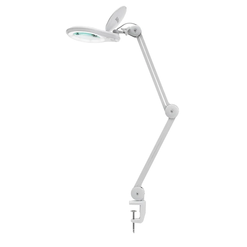 lightsdaddy240231