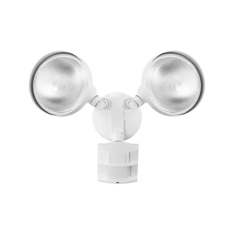 lightsdaddy240607