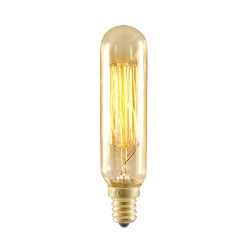 lightsdaddy240803