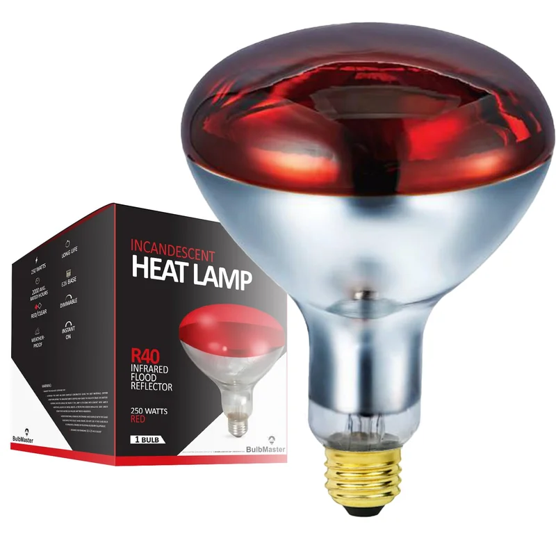 lightsdaddy243070