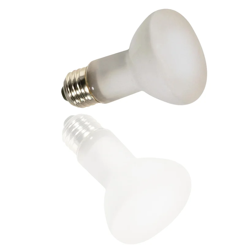 lightsdaddy243090