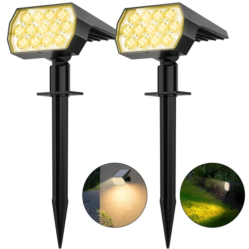 lightsdaddy244050