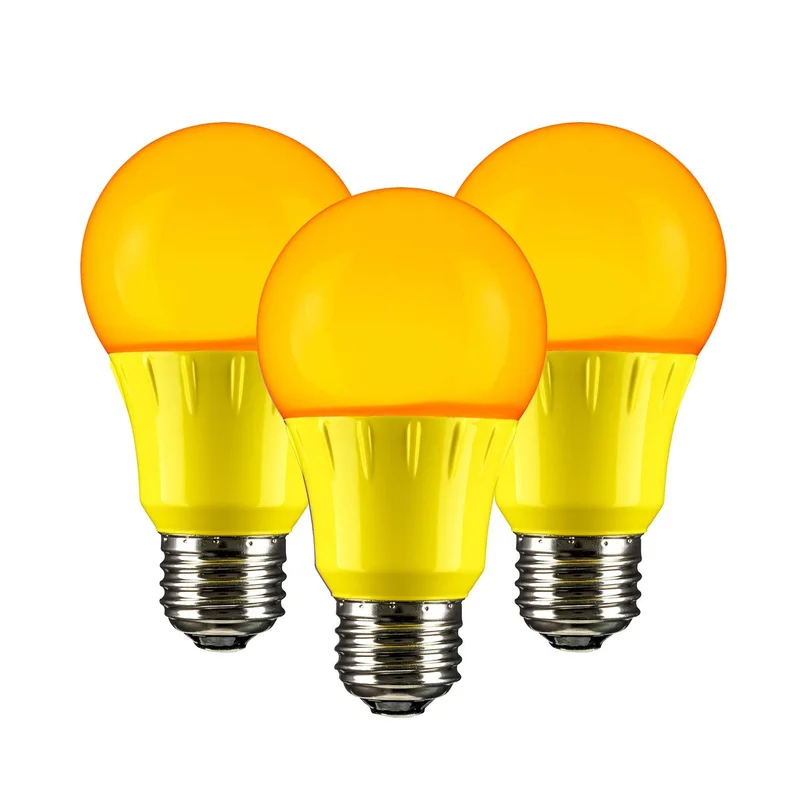 lightsdaddy244087
