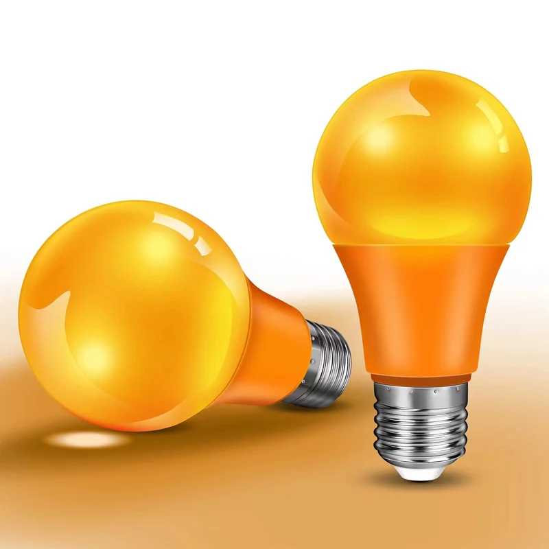lightsdaddy244606