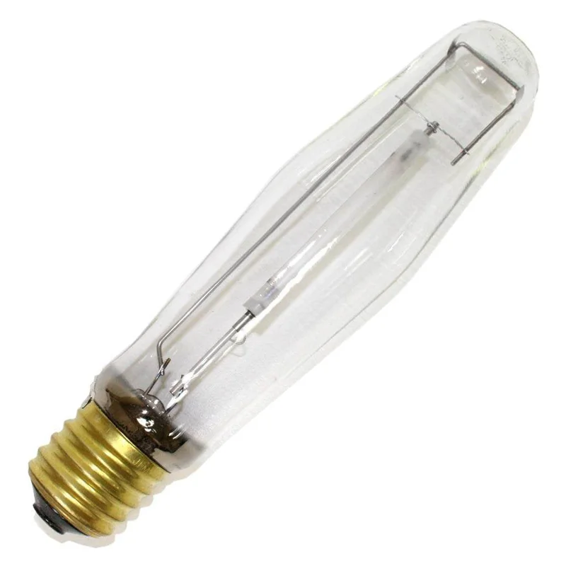 lightsdaddy246306