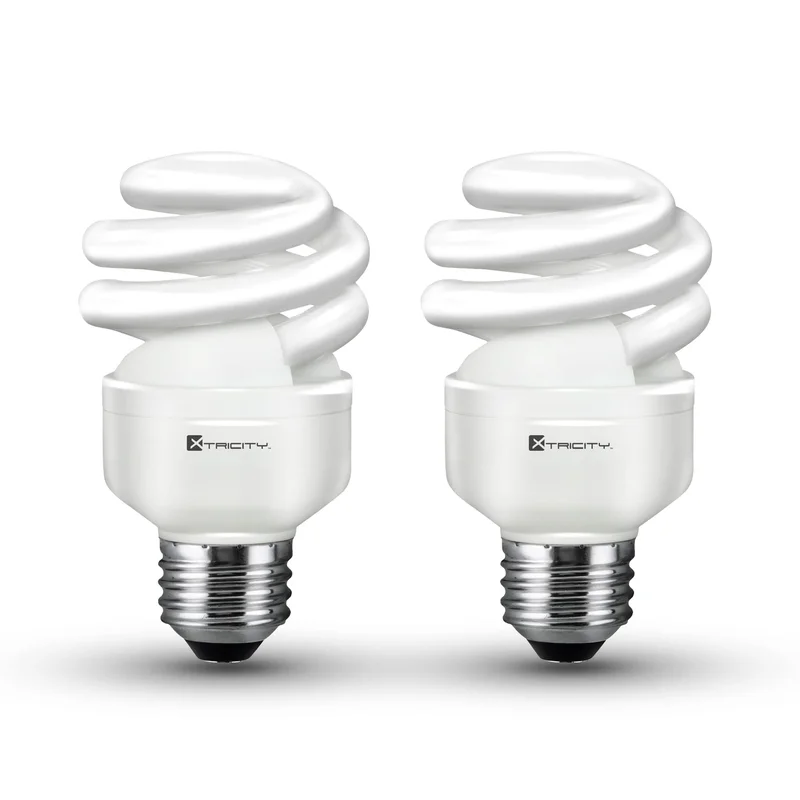 lightsdaddy247402