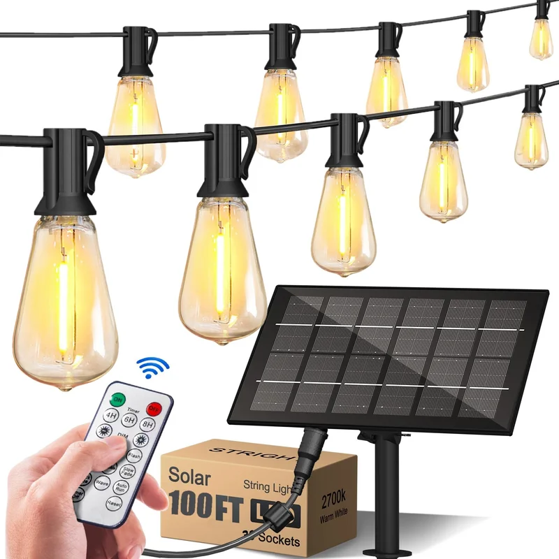 lightsdaddy259374