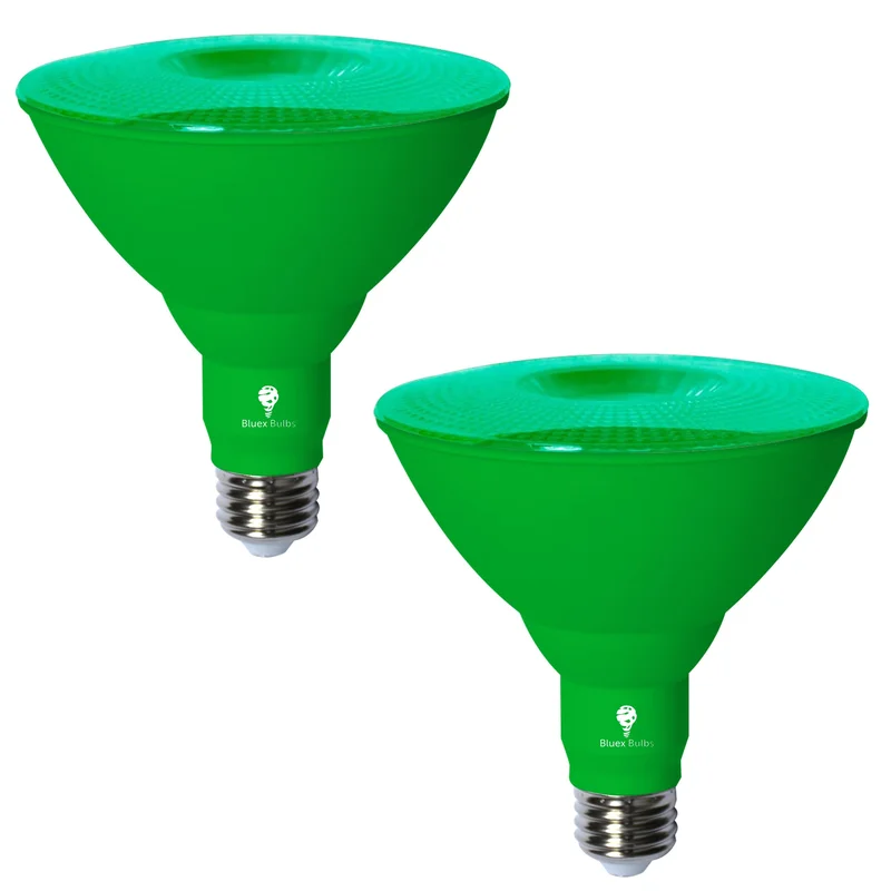 lightsdaddy264081