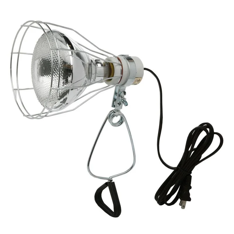 lightsdaddy288109