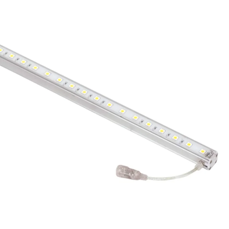 lightsdaddy296351