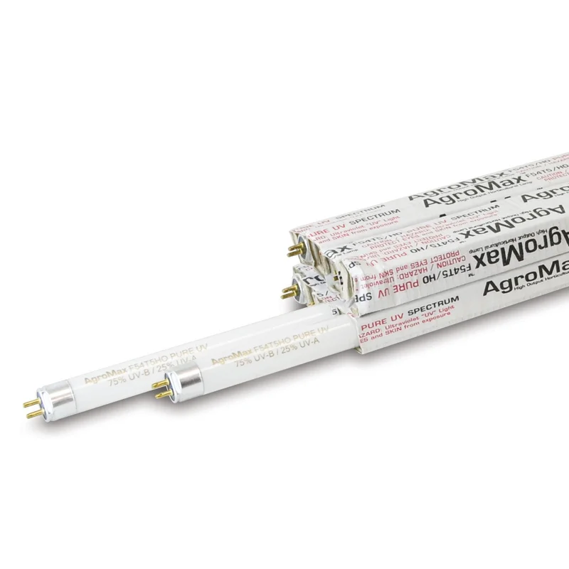 lightsdaddy302242