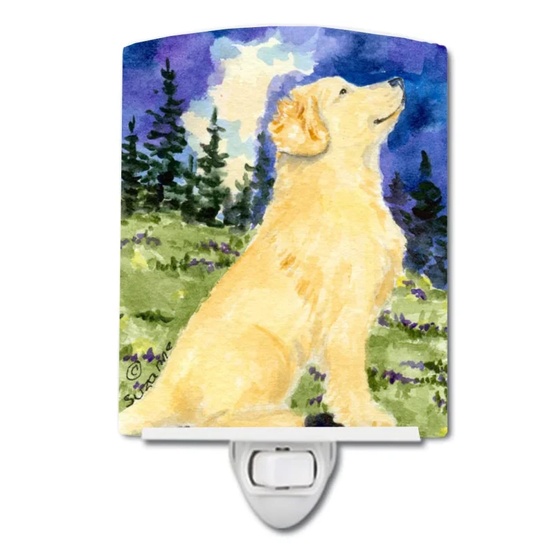 lightsdaddy310580