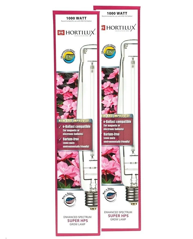 lightsdaddy311045