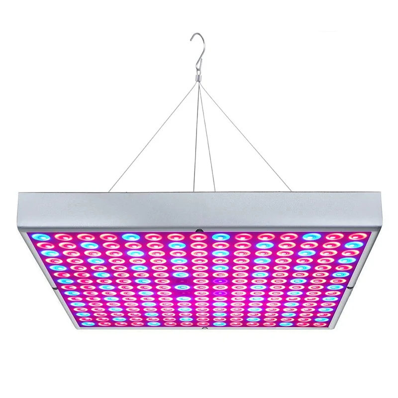 lightsdaddy311188