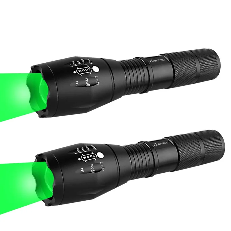 lightsdaddy319524