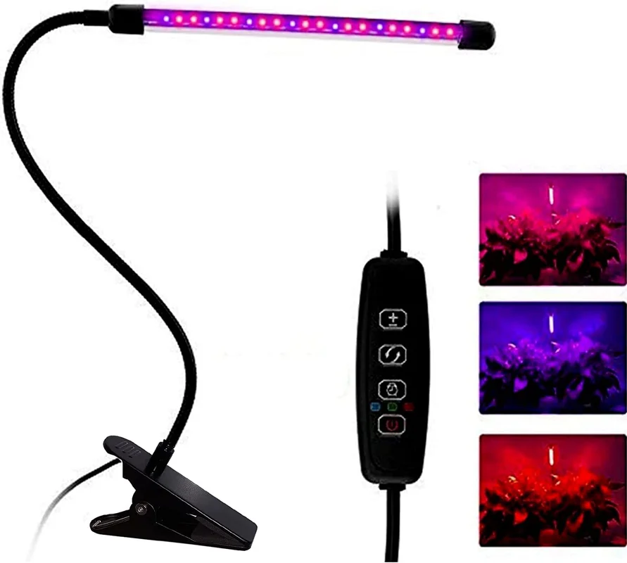 lightsdaddy320335
