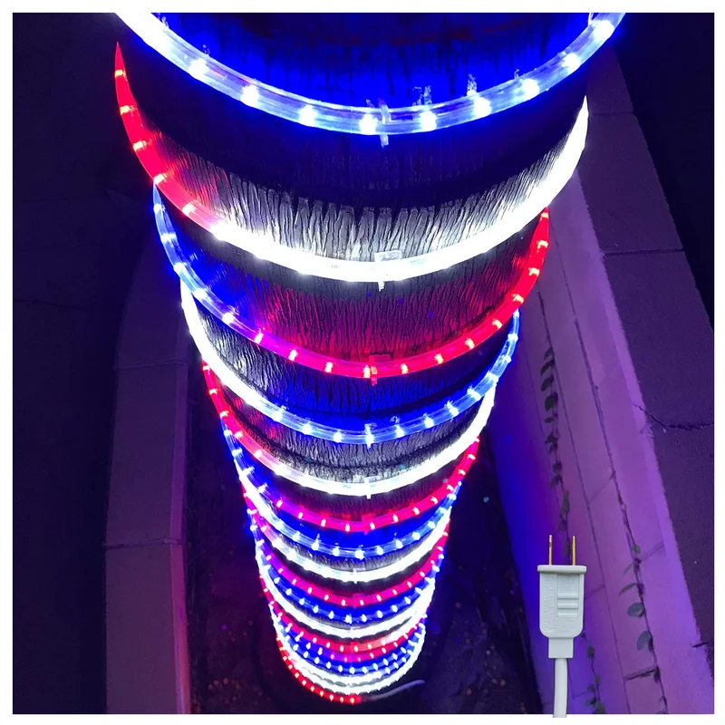 lightsdaddy320744