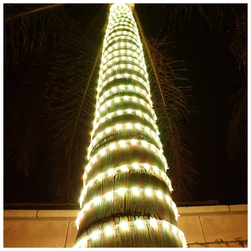 lightsdaddy320790