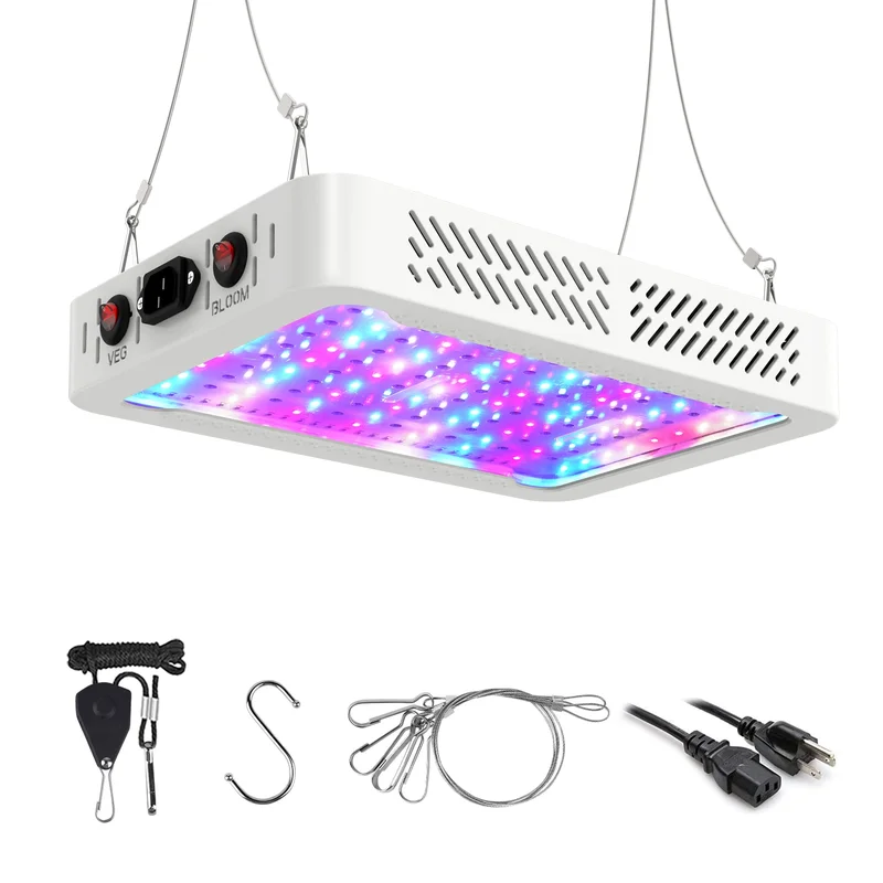 lightsdaddy324881