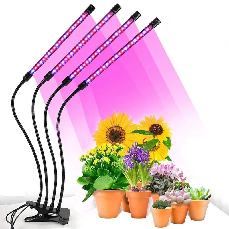 lightsdaddy326600