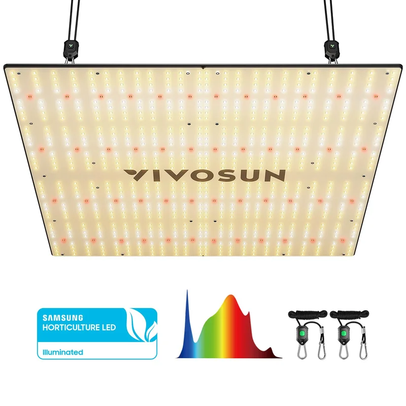 lightsdaddy330131