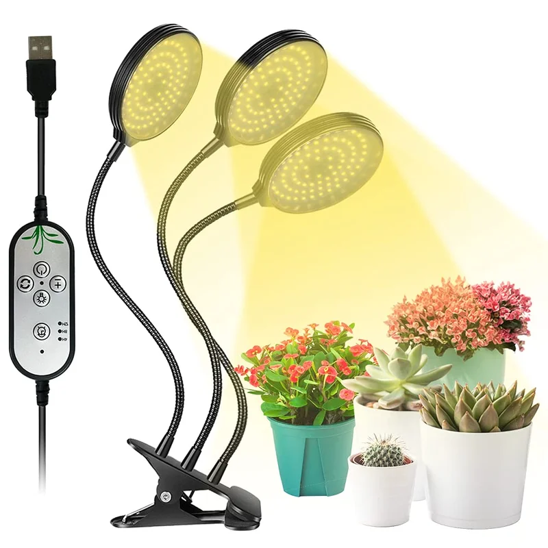 lightsdaddy330463