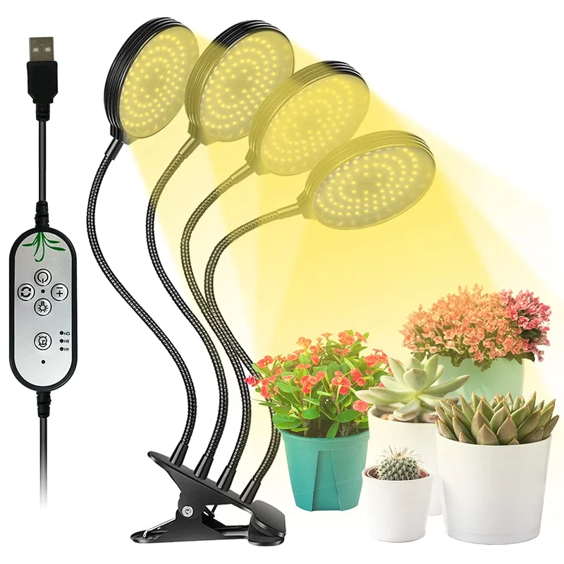 lightsdaddy330472